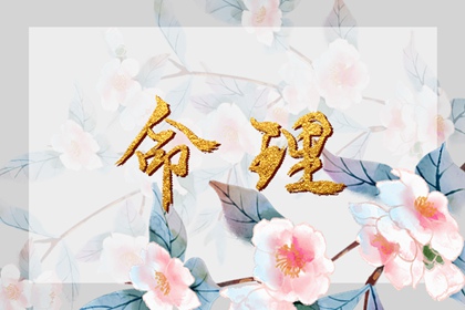 黄历2025年黄道吉日查询|老黄历2025年黄道吉日|日历全年黄道吉日